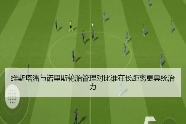 维斯塔潘与诺里斯轮胎管理对比谁在长距离更具统治力