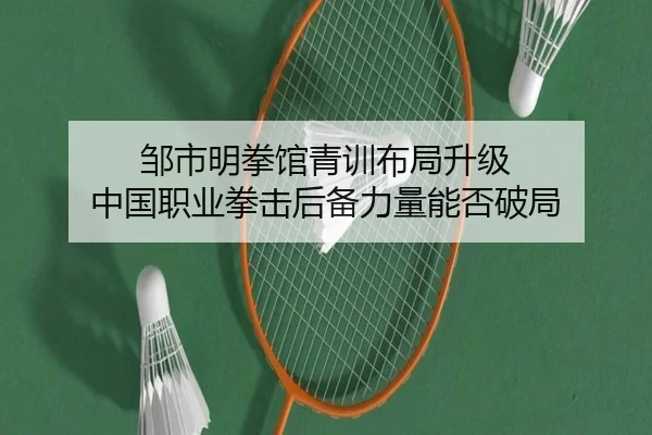 邹市明拳馆青训布局升级 中国职业拳击后备力量能否破局